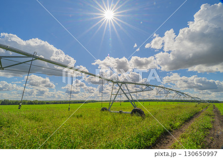 The Modern Irrigation System Utilized in a Lush Agricultural Field Beneath a Bright Sunny Sky 130650997