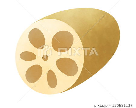 カットされたレンコンのイラスト 130651137