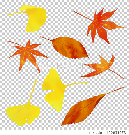紅葉　銀杏　落ち葉　セット　水彩風 130653678
