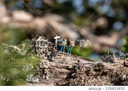 Two miniature hikers standing on a log are contemplating the path forward Two miniature hikers standing on a log are contemplating the path forward 130653833