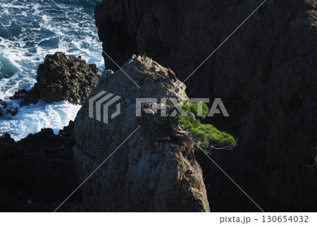 岩と松 岩と松 130654032