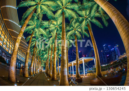 シンガポール夜景とヤシの木 130654245