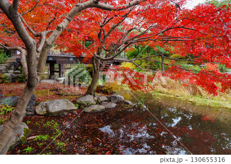 京都　渉成園丹楓渓　印月池の侵雪橋 130655316