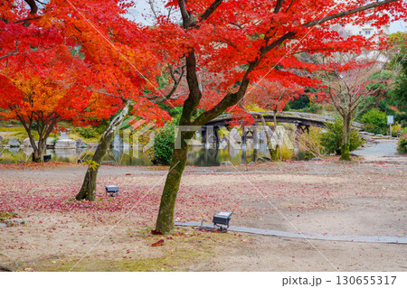 京都　渉成園丹楓渓　印月池の侵雪橋 130655317