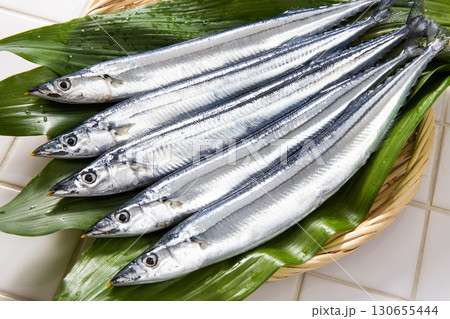 秋刀魚 鮮魚 日本の秋の味覚 秋刀魚 鮮魚 日本の秋の味覚 130655444
