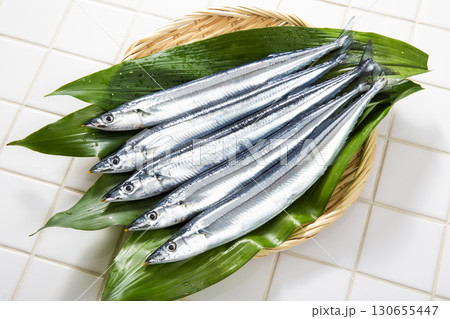 秋刀魚 鮮魚 日本の秋の味覚 秋刀魚 鮮魚 日本の秋の味覚 130655447