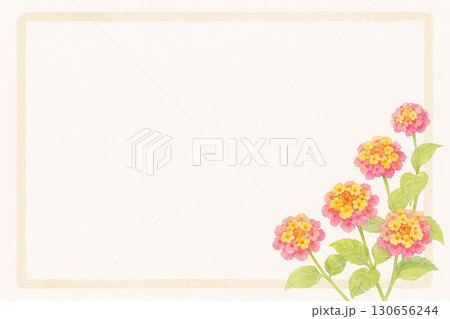 ポストカード ランタナ ポストカード ランタナ 130656244