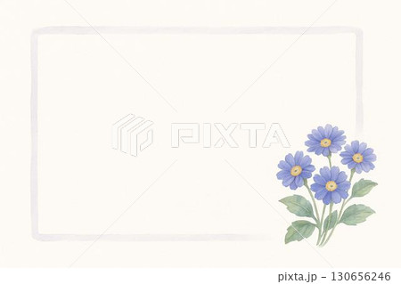 ポストカード　サイネリア 130656246