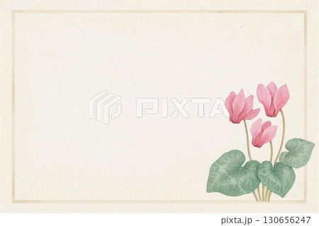 ポストカード　シクラメン 130656247