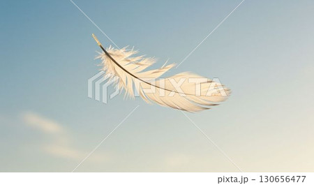 白い羽 白い羽 130656477