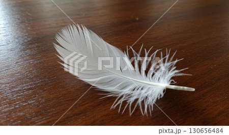 白い羽 130656484