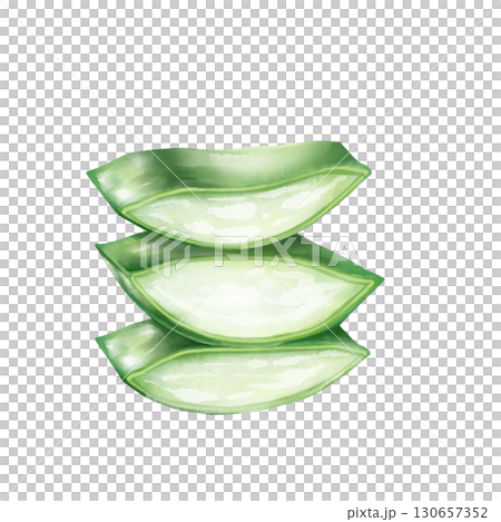 Hand-drawn illustration of three stacked aloe vera leaves, perfect for natural beauty and health themes Hand-drawn illustration of three stacked aloe vera leaves, perfect for natural beauty and health themes 130657352