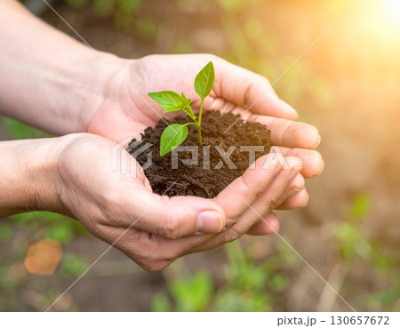 小さな芽が出た植物　希望　成長　植林 130657672
