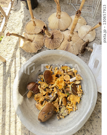 Various edible mushrooms collected in the forest. High-Angle Shot.  130657913