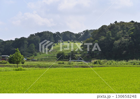 里山の風景　（埼玉県・鳩山町） 130658248
