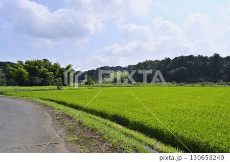 里山の風景　（埼玉県・鳩山町） 130658249
