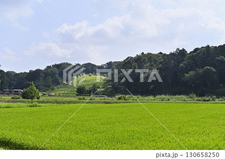 里山の風景　（埼玉県・鳩山町） 130658250