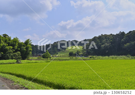里山の風景　（埼玉県・鳩山町） 130658252