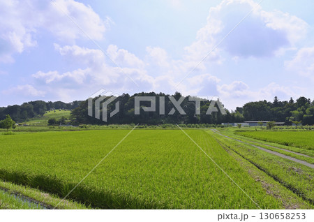 里山の風景　（埼玉県・鳩山町） 130658253