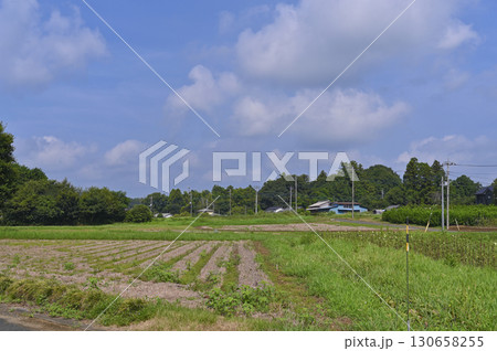 里山の風景　（埼玉県・鳩山町） 130658255