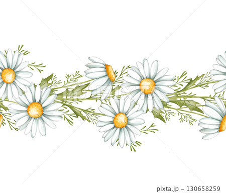 Chamomile seamless border. Hand drawn illustration - frame with daisy flowers. 130658259