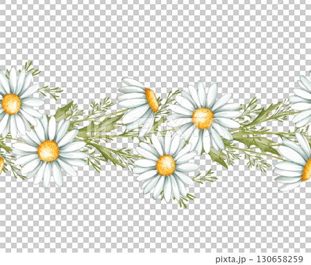 Chamomile seamless border. Hand drawn illustration - frame with daisy flowers. 130658259