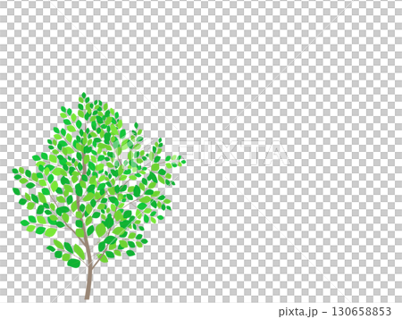 Small leaf tree illustration background material, gentle touch, white background, copy space, png transparent Small leaf tree illustration background material, gentle touch, white background, copy space, png transparent 130658853
