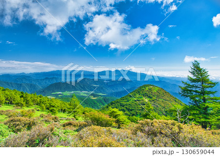 栃木県日光市　霧降高原の登山道から見る丸山と遠方に大笹牧場を望む 130659044