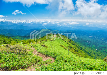 栃木県日光市　霧降高原の登山道から見る景色 130659053