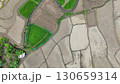 Aerial photograph of rice fields, high-angle drone photography of nature. 130659314