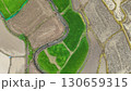 Aerial photograph of rice fields, high-angle drone photography of nature. 130659315