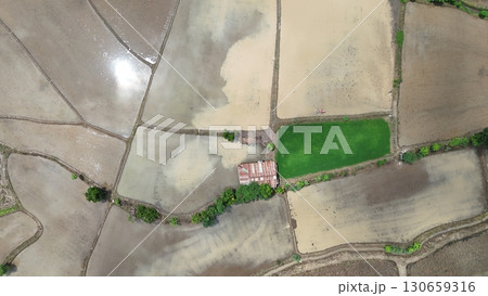 Aerial photograph of rice fields, high-angle drone photography of nature. 130659316