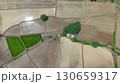 Aerial photograph of rice fields, high-angle drone photography of nature. 130659317