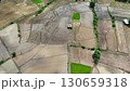 Aerial photograph of rice fields, high-angle drone photography of nature. 130659318