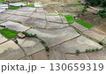 Aerial photograph of rice fields, high-angle drone photography of nature. 130659319