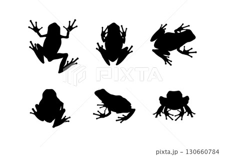Set of black vector frog silhouettes isolated on white background. Collection of poisonous amphibians with slender long legs in various poses, shown in front, back, side, and top views 130660784
