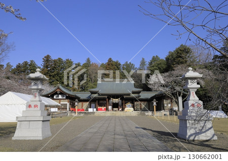 快晴の青空の下、満開の桜が美しい茨城県水戸市の茨城県護国神社の境内 快晴の青空の下、満開の桜が美しい茨城県水戸市の茨城県護国神社の境内 130662001