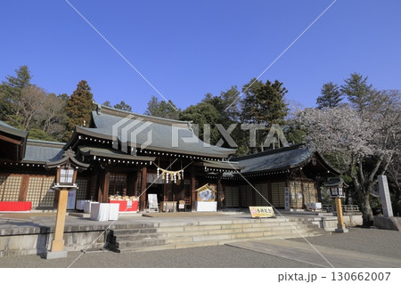 快晴の青空の下、満開の桜が美しい茨城県水戸市の茨城県護国神社の境内 快晴の青空の下、満開の桜が美しい茨城県水戸市の茨城県護国神社の境内 130662007