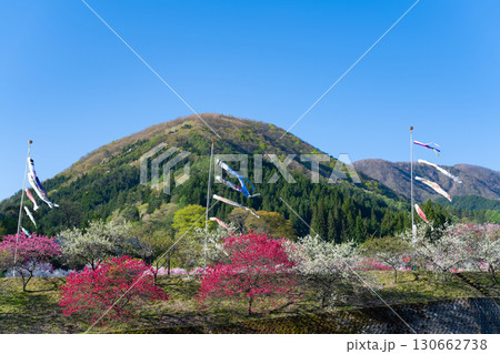 長野県阿智村　花桃の里 130662738