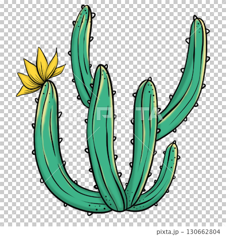 Part of desert cactus colorful	 130662804