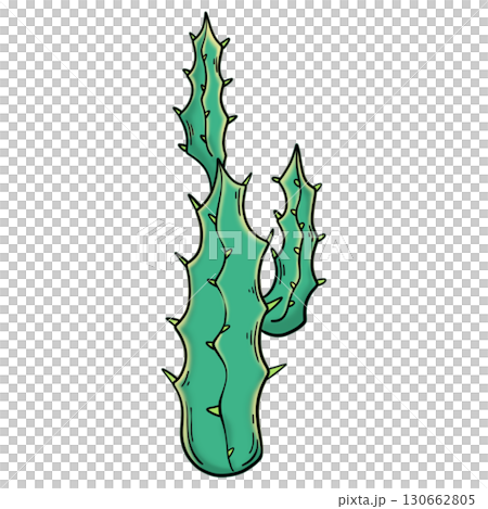 Part of desert cactus colorful	 130662805