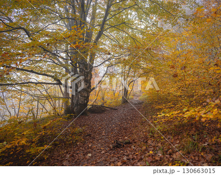 Plitvice Lakes in Croatia during autumn 130663015