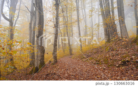 Plitvice Lakes in Croatia during autumn 130663016