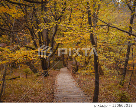 Plitvice Lakes in Croatia during autumn Plitvice Lakes in Croatia during autumn 130663018