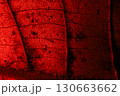 Red leaf texture, extreme close up, flat material, dried leaf, macro view 130663662