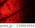 Red leaf texture, extreme close up, flat material, dried leaf, macro view 130663694