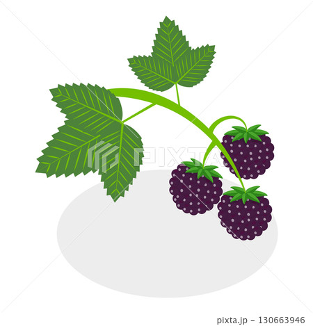 3D Isometric Flat Vector Set of Berries, Healthy Detox Natural Products. Item 14 3D Isometric Flat Vector Set of Berries, Healthy Detox Natural Products. Item 14 130663946