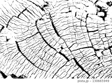 Cracked vintage tree stump surface showing natural texture and annual wood rings. Close up tree stump cracks 130665949