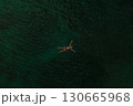 Aerial top nature view above green turquoise Adriatic sea in Albania. young woman swimming alone 130665968