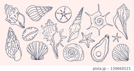 Doodle seashells. Hand drawn marine shell collection with starfish, oyster, clam, spiral and conch sketches. Ocean beach seashell outlines, summer coastal nature elements and sea life vector set Doodle seashells. Hand drawn marine shell collection with starfish, oyster, clam, spiral and conch sketches. Ocean beach seashell outlines, summer coastal nature elements and sea life vector set 130668523